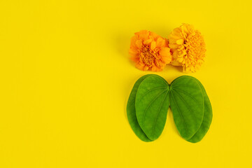 Dussehra greeting cards use apta / Bauhinia racemosa on a yellow background.