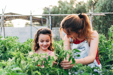 Obraz premium portrait of 2 women who take care of their home garden and ecological outdoors. They smile happily as they watch their plants grow.