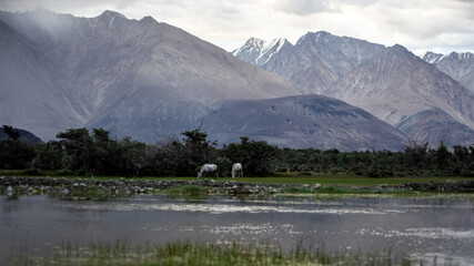 lake in the mountains