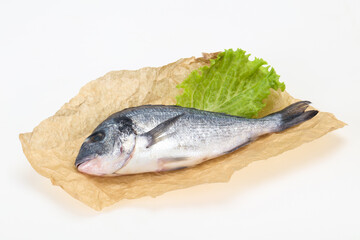 Raw Dorada fish  for cooking