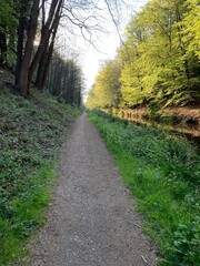 Beautiful summer's day in Surrey, England