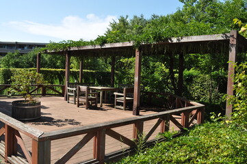 マンションの中庭
