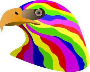 Eagle with some colours