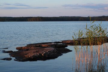 lake with reeds and stones at pink sunset