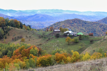 Beautiful autumn forest landscape with small houses aerial view. Hiking Travel Lifestyle concept mountain. Vacations activity outdoor journey in the Carpathians mountains, Ukraine