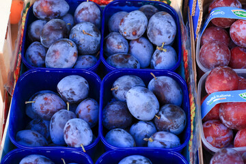 ripe blue plums in a box