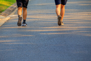 Fototapeta premium Road for jogging in the park