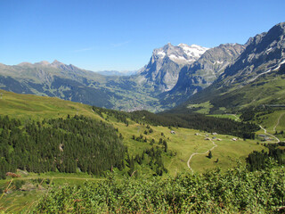 Fototapeta na wymiar Gorgeous Swiss Alps, Grosse Scheidegg, Switzerland