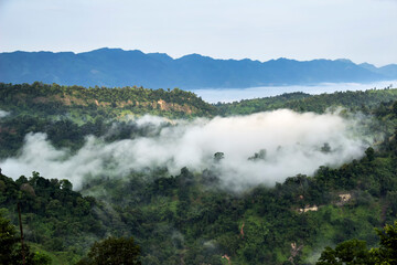Forested Mountain Valley in the Cloud and Fog During Summer. Natural Landscape View
