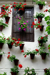 Fototapeta na wymiar Córdoba (Spain). Old window inside a typical Cordovan patio