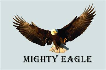 bald eagle in flight