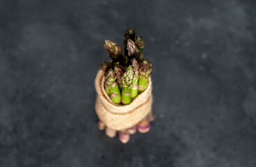 
Raw green asparagus on a stone background with copy space for your text.