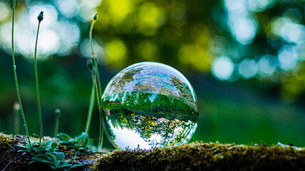 A lensball reflects a lush green landscape.

The foreground consists of a moss-covered stone. In the lensball you can see the background, which consists of a beautiful meadow with lush trees.