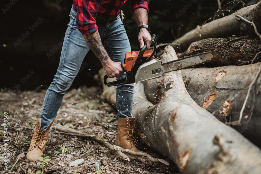 Wall mural young adult lumberjack or logger working in woods with chainsaw.