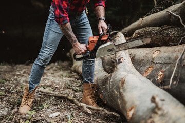 Young adult lumberjack or logger working in woods with chainsaw.