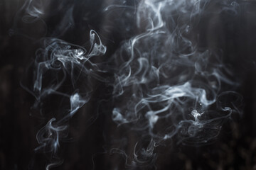 Image of backlit puffs of smoke, on a dark background. © Elena
