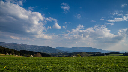 Fototapeta premium Germany, Endless green pastures and yellow blooming flowers in black forest nature landscape with moving clouds and shadows