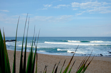 Blue Beach landscape through palm leaf