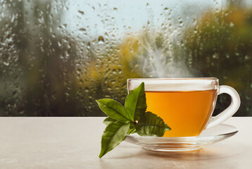 Glass cup of hot green tea and leaves near window on rainy day, space for text