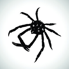 Isolated crab, seafood on white background. Vector crab retro