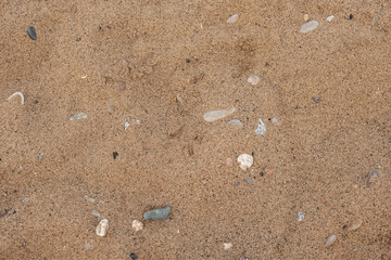 beach sand, stones, and pebbles background horizontal