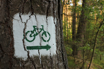 Znak z zielonym rowerem prowadzący do lasu - obrazy, fototapety, plakaty