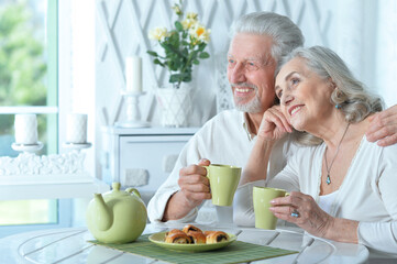 Obraz na płótnie Canvas Portrait of mature couple drinking tea with cookies