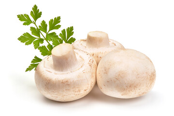 Champignon mushrooms, isolated on white background
