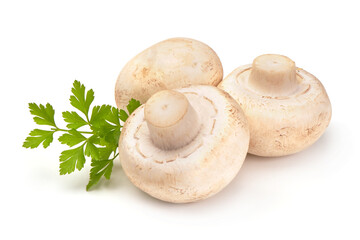 Champignons, close-up, isolated on white background