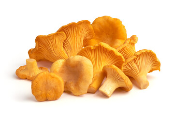 Chanterelles mushrooms, isolated on white background