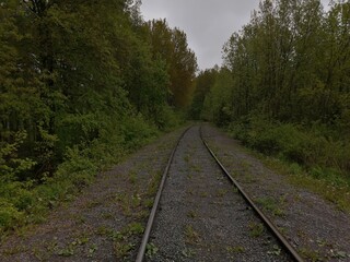 Obraz premium railroad rails linear perspective forest trees sleepers