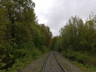 railroad rails linear perspective forest trees sleepers