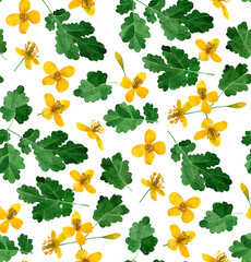 Floral seamless pattern with watercolor yellow wildflowers and leaves on white background. Wild flowers composition. For wrapping, fabric, wallpaper.