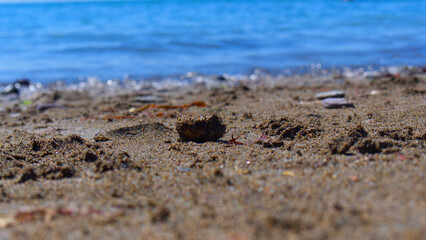 View tothe ocean with over a pebble beach on a sunny warm day, with no people.