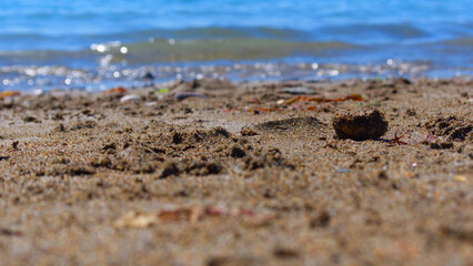 View tothe ocean with over a pebble beach on a sunny warm day, with no people.