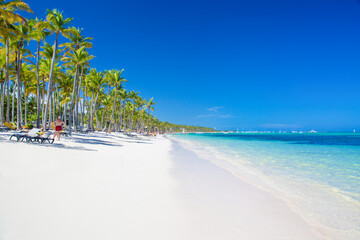 Coconut Palm trees on white sandy. Panoramic view of Bavaro Beach on a sunny day. Tropical beach one of the best beaches in the Dominican Republic.