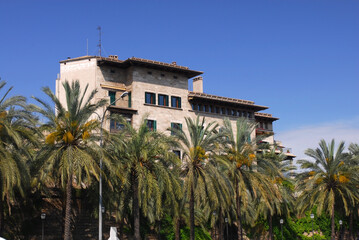 Fototapeta na wymiar Palace with palm tree in Barselona
