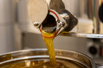golden honey harvest with hands