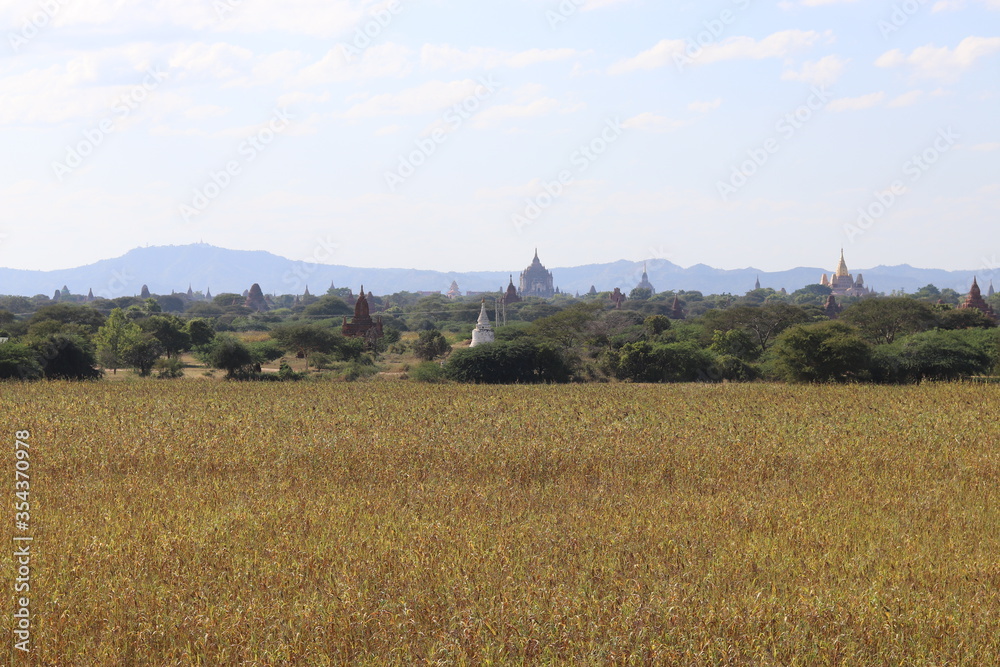 Canvas Prints Champs et temples à Bagan, Myanmar