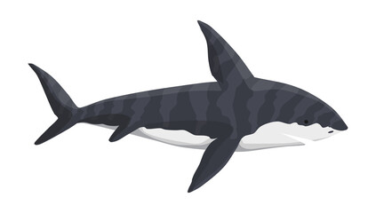Vector whale shark character. Underwater sea animal. Big dangerous marine predator. Illustration of Marine wildlife