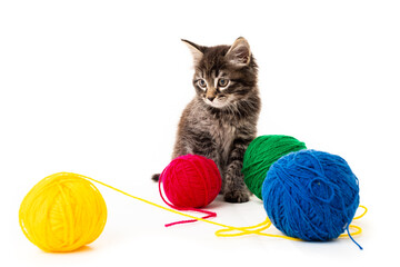 kitten with balls of threads. little kitten on white background.