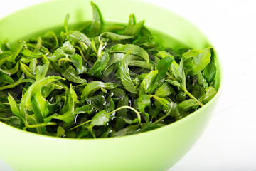 Bunch of fresh mint sprigs in clear green bowl