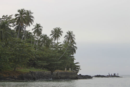 A partial view of the Sundy beach on the northwest coast of island of Príncipe, the flora in this beach is typical of coastal areas, comprised of capoeira forest. São Tomé and Príncipe