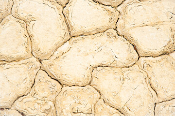 Dry cracked ground background. Global warming.