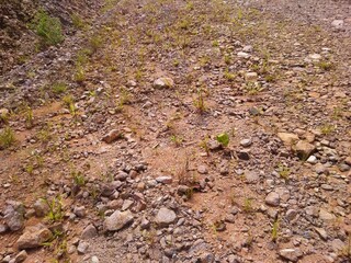 the texture of land 