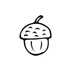 Doodle acorn icon in vector on white background. Hand drawn acorn icon in vector.