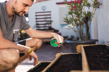 a guy watering the urban orchard to cultivate some vegetables at home with a spray
