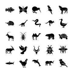 Animals Solid Icons 