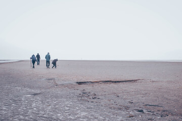 people walking in the wadden sea