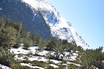 camino a pe&ntilde;alara 